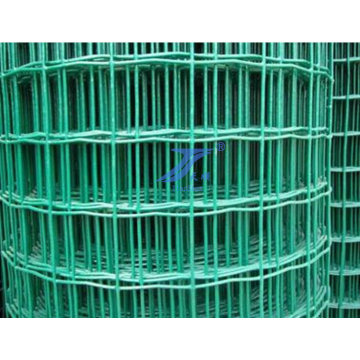 Beautiful Protected Euro Wire Mesh